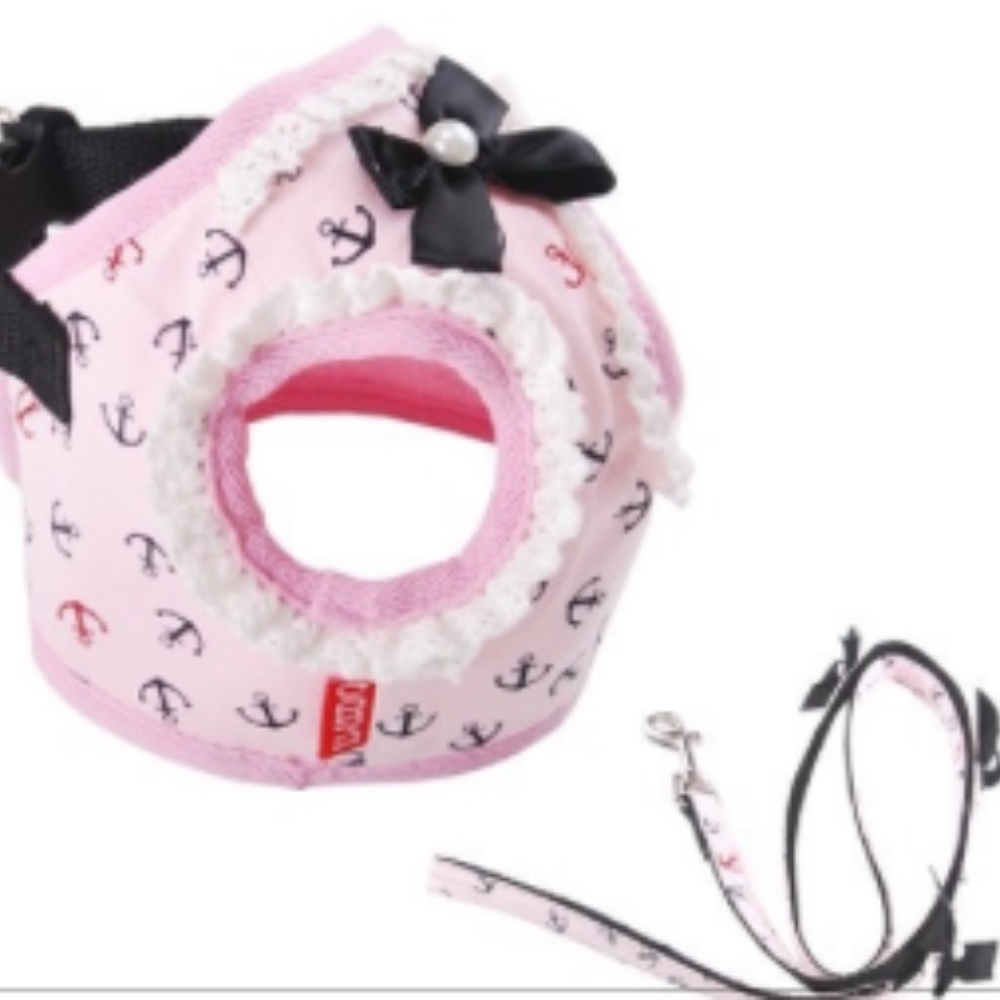 ANCHOR HARNESS WITH LEASH